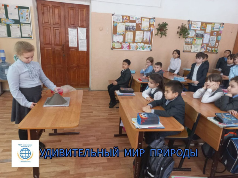 Классный час "Удивительный мир природы".